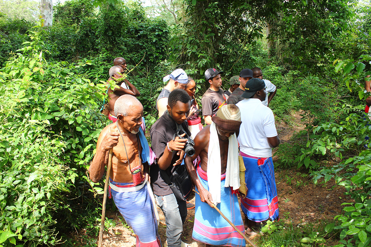 Nature walk and bird watching